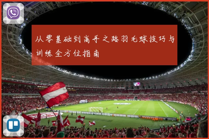 从零基础到高手之路羽毛球技巧与训练全方位指南