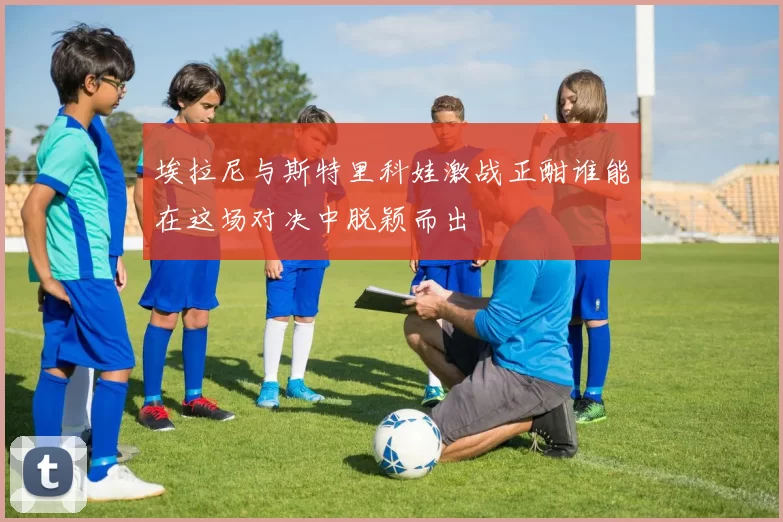 埃拉尼与斯特里科娃激战正酣谁能在这场对决中脱颖而出