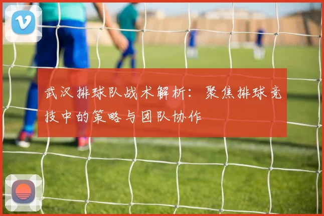武汉排球队战术解析：聚焦排球竞技中的策略与团队协作