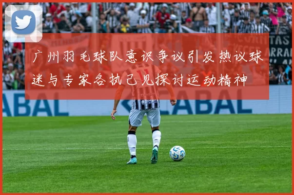 广州羽毛球队意识争议引发热议球迷与专家各执己见探讨运动精神