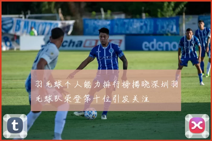 羽毛球个人能力排行榜揭晓深圳羽毛球队荣登第十位引发关注