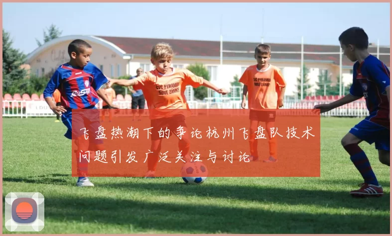 飞盘热潮下的争论杭州飞盘队技术问题引发广泛关注与讨论