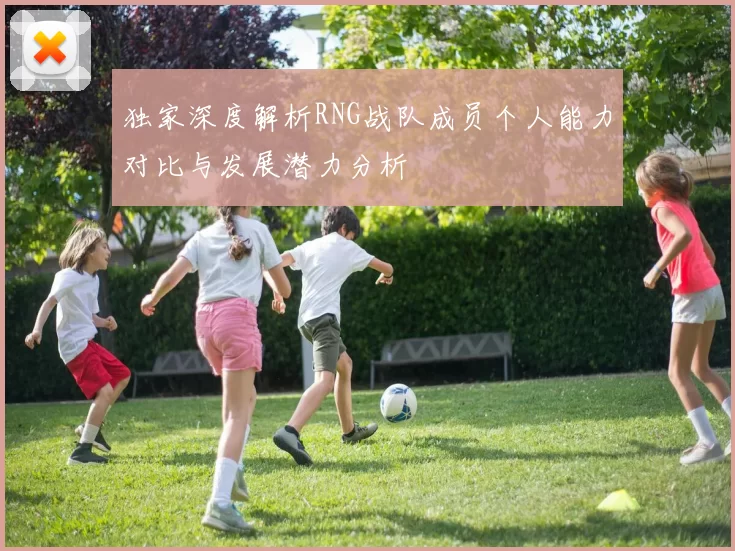 独家深度解析RNG战队成员个人能力对比与发展潜力分析