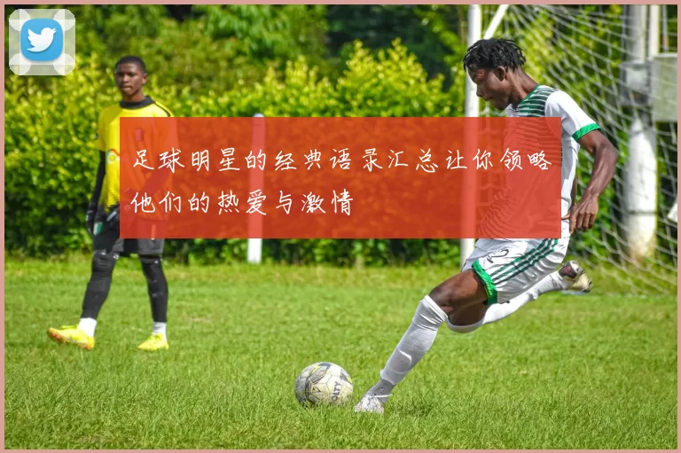 足球明星的经典语录汇总让你领略他们的热爱与激情